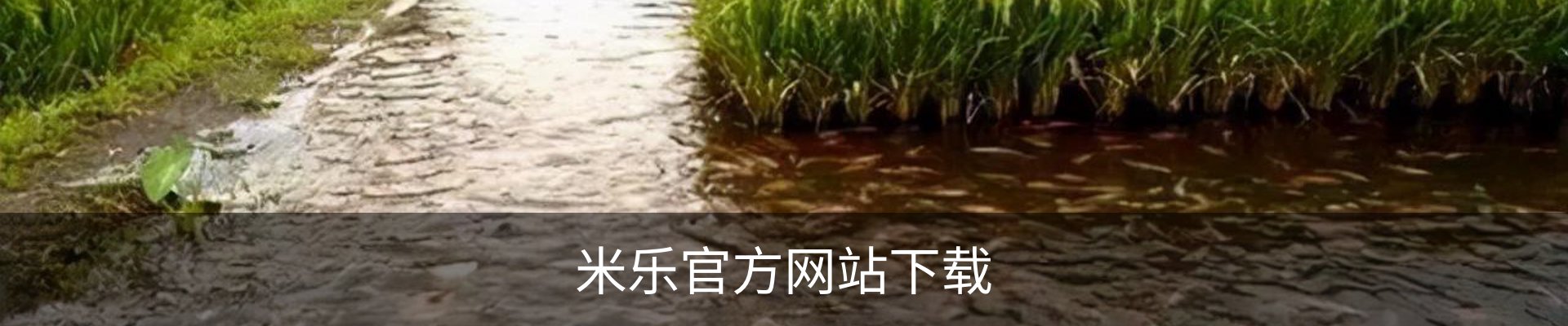 米乐官方网站下载